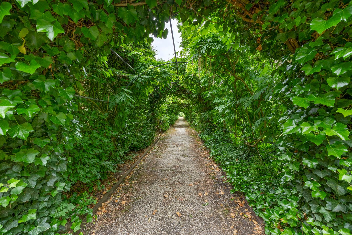 Foto 49 van Fokkershoek 29