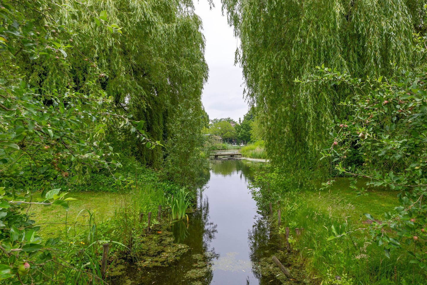 Foto 50 van Fokkershoek 29