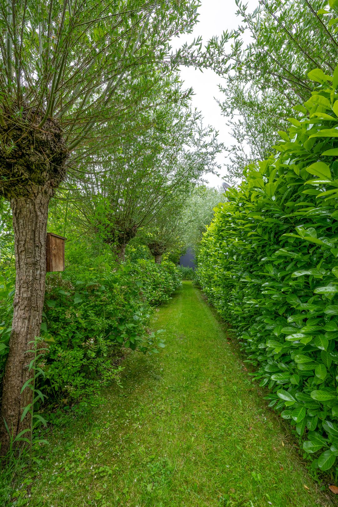 Foto 56 van Fokkershoek 29