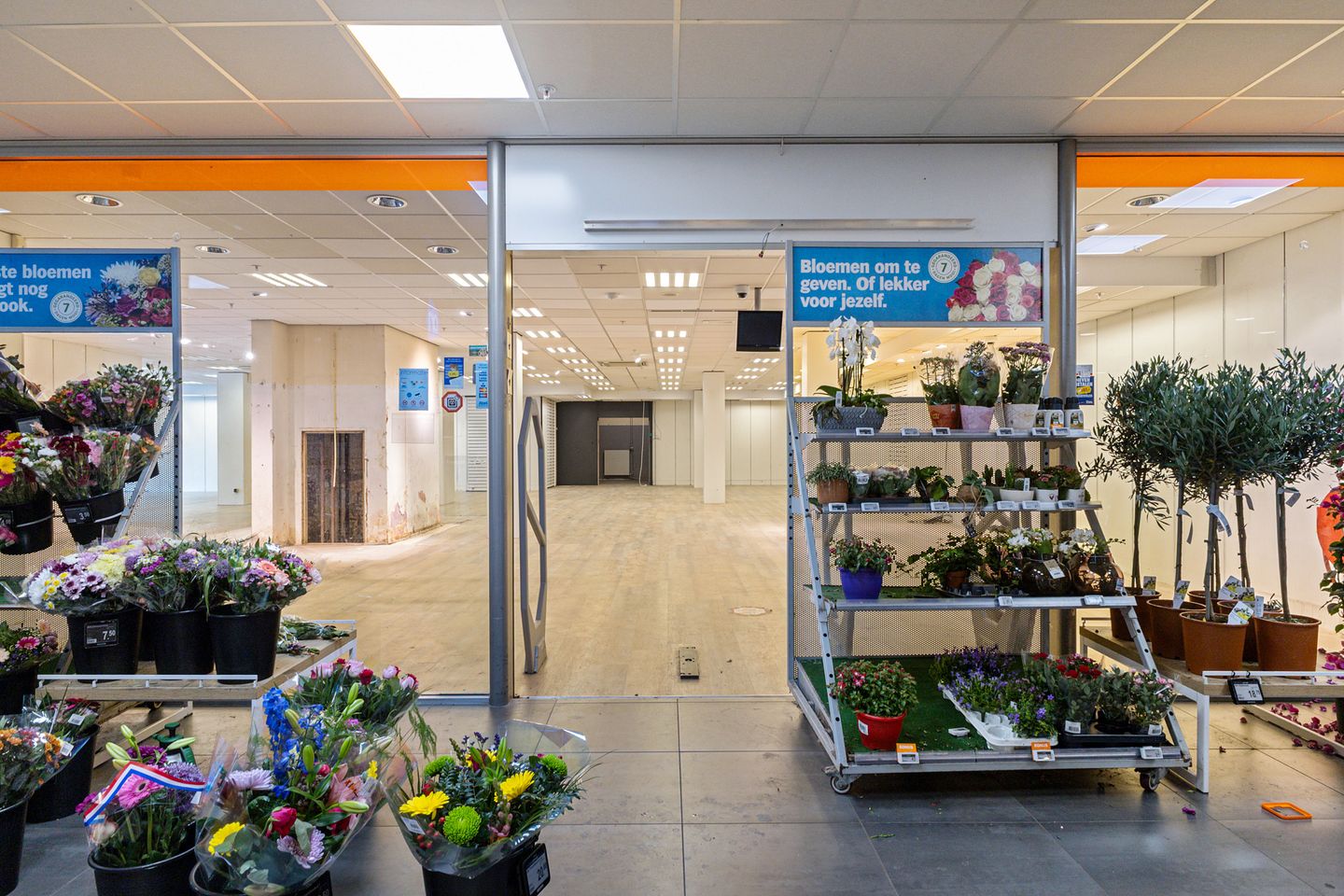 Bekijk foto 3 van Stadhouderskade 111-H