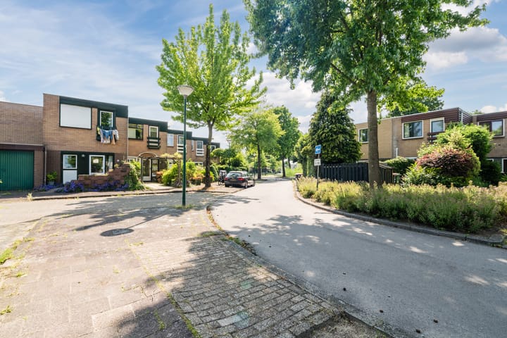 Photo 26 of Pijperpad 9