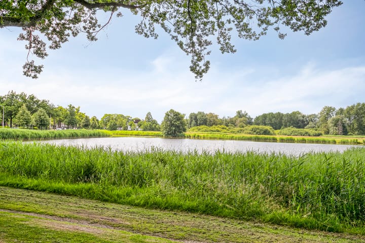 Foto 51 van Hortsedijk 143