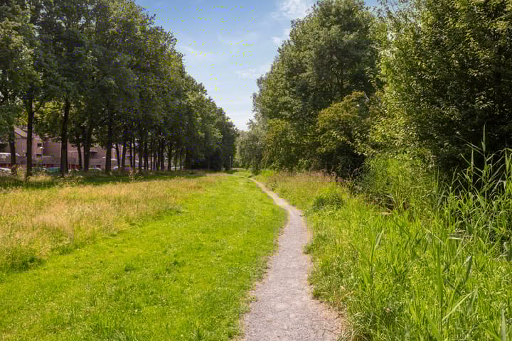 Foto 29 van Albert van Dalsumlaan 597