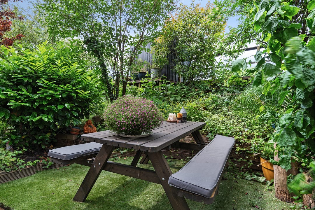 Foto 8 van Zuiddijk 411