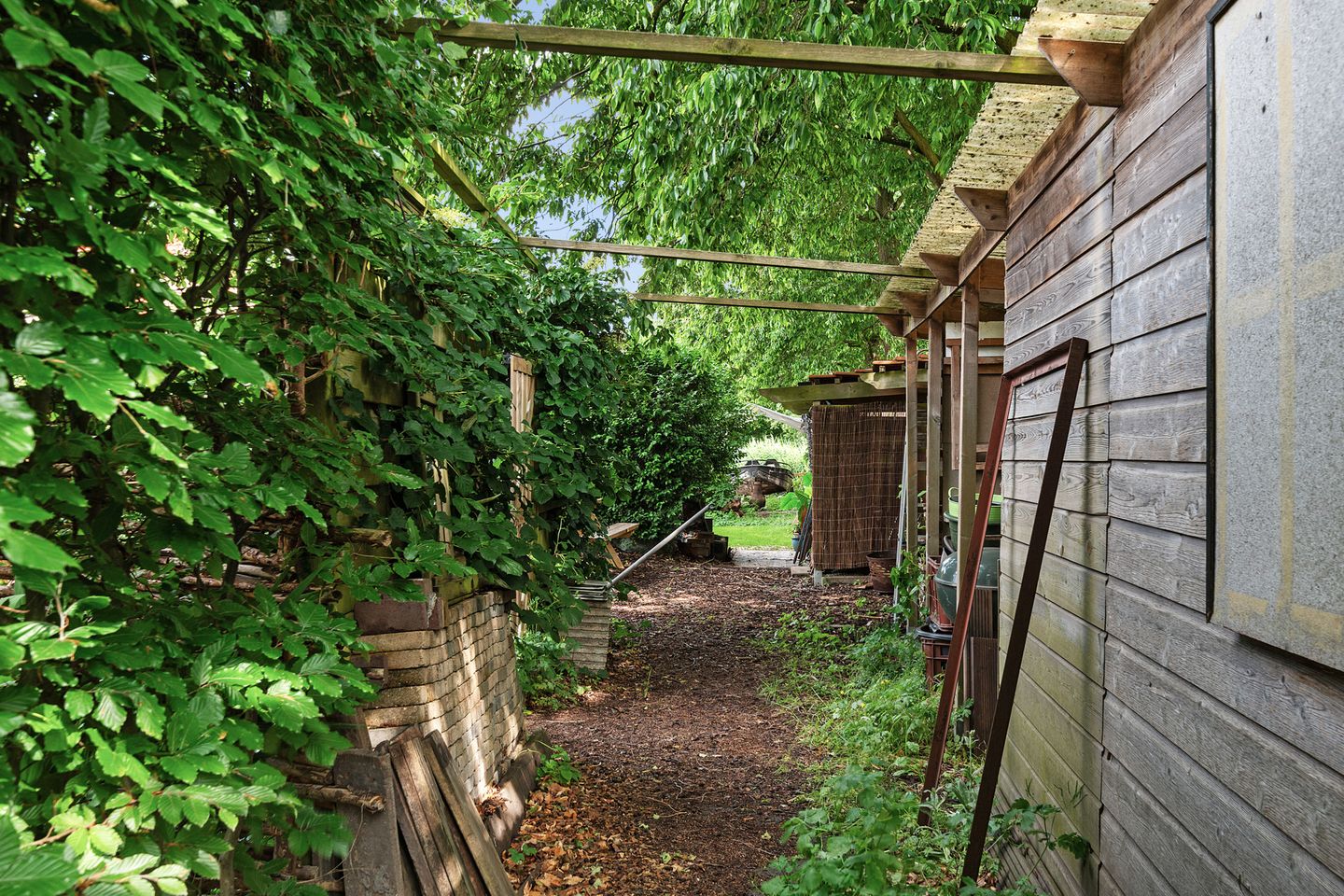 Foto 50 van Zuiddijk 411