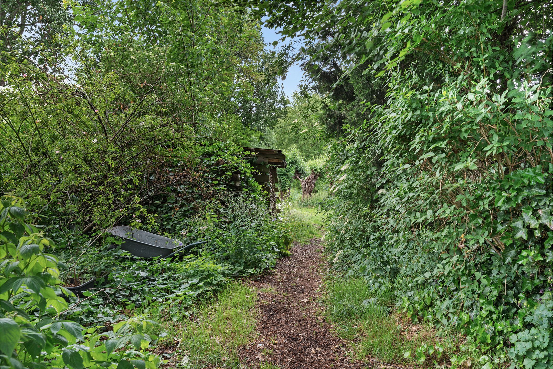 Foto 57 van Zuiddijk 411