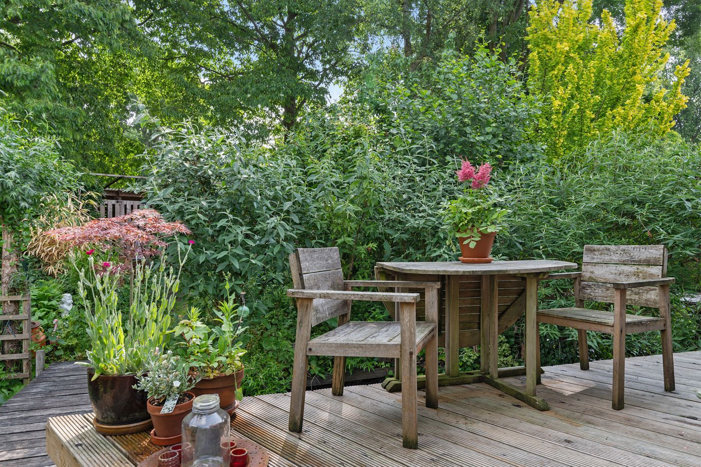 Foto 59 van Zuiddijk 411