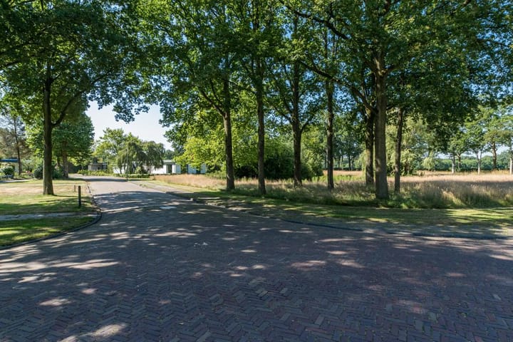 Foto 21 van Eineflecht 6