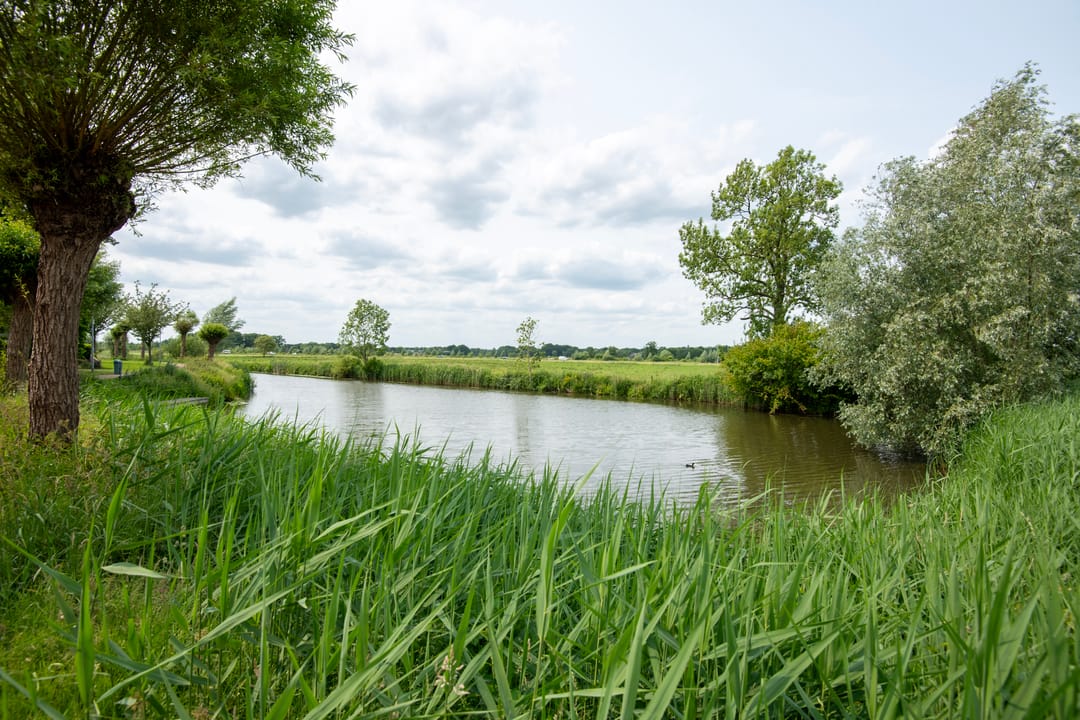 Photo 43 of Plaggenmeierslaan 49