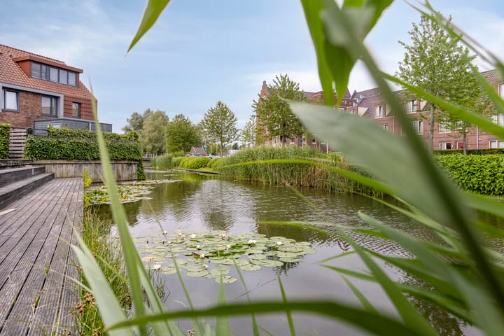 Foto 20 van Karpaten 18