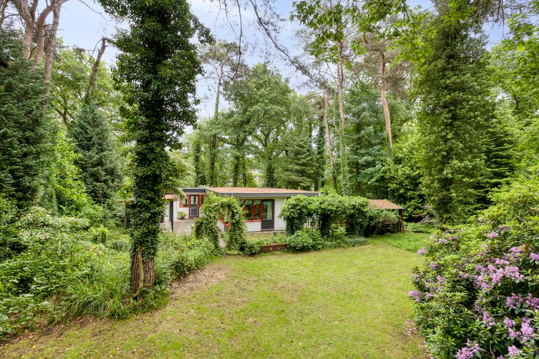 Foto 2 van Dennekamp 4