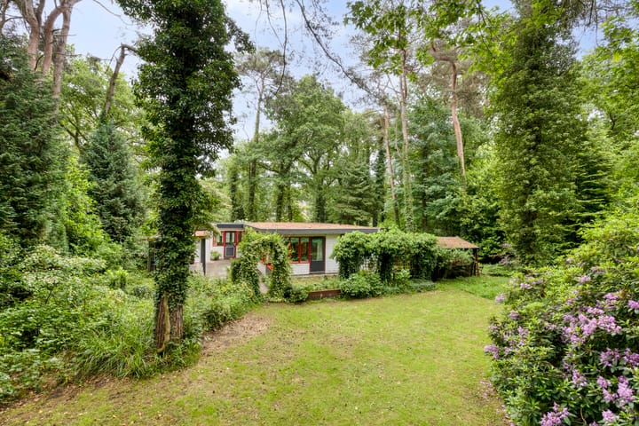 Foto 2 van Dennekamp 4