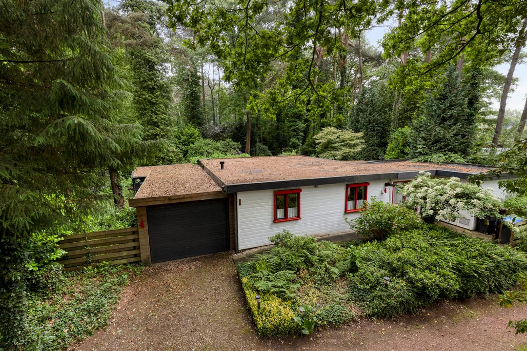 Foto 8 van Dennekamp 4