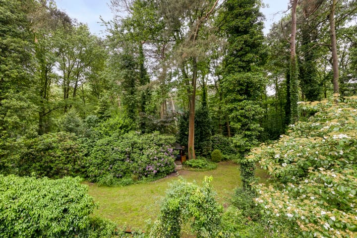 Foto 36 van Dennekamp 4