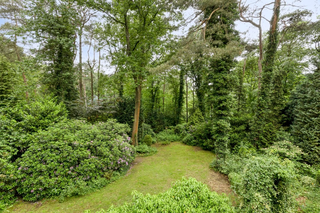 Foto 37 van Dennekamp 4