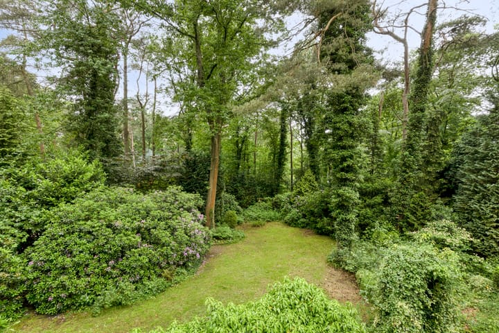 Foto 37 van Dennekamp 4