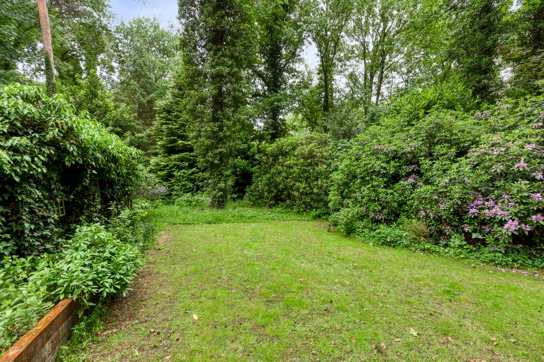 Foto 38 van Dennekamp 4