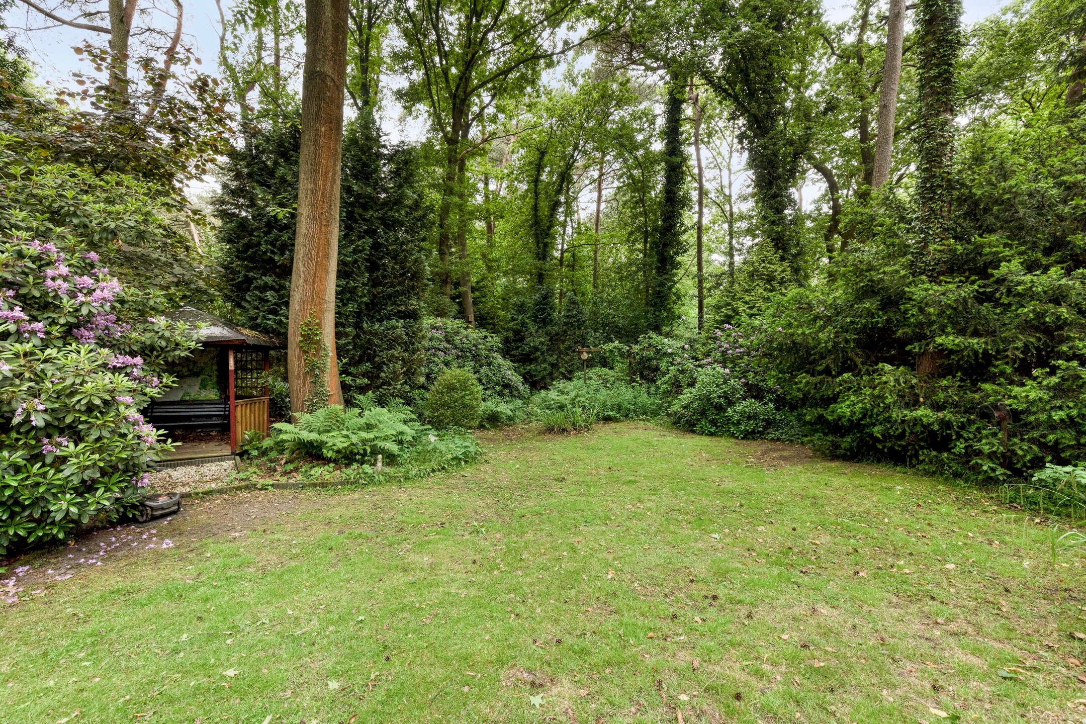 Foto 39 van Dennekamp 4