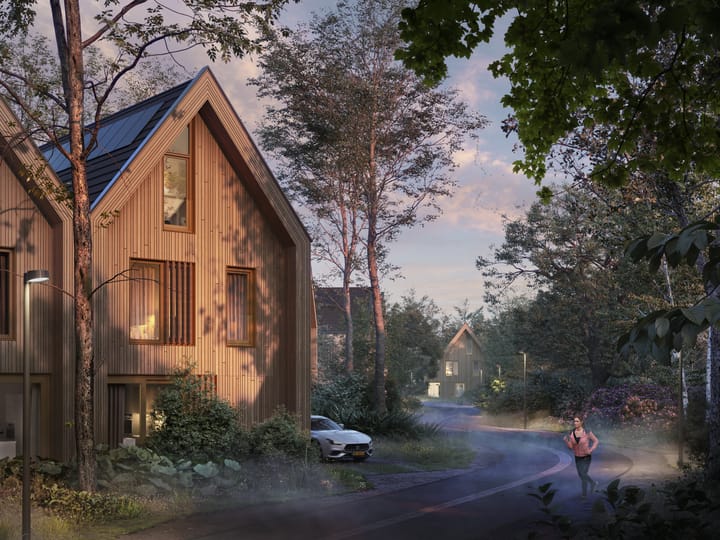 Foto 1 van Bos fase 2