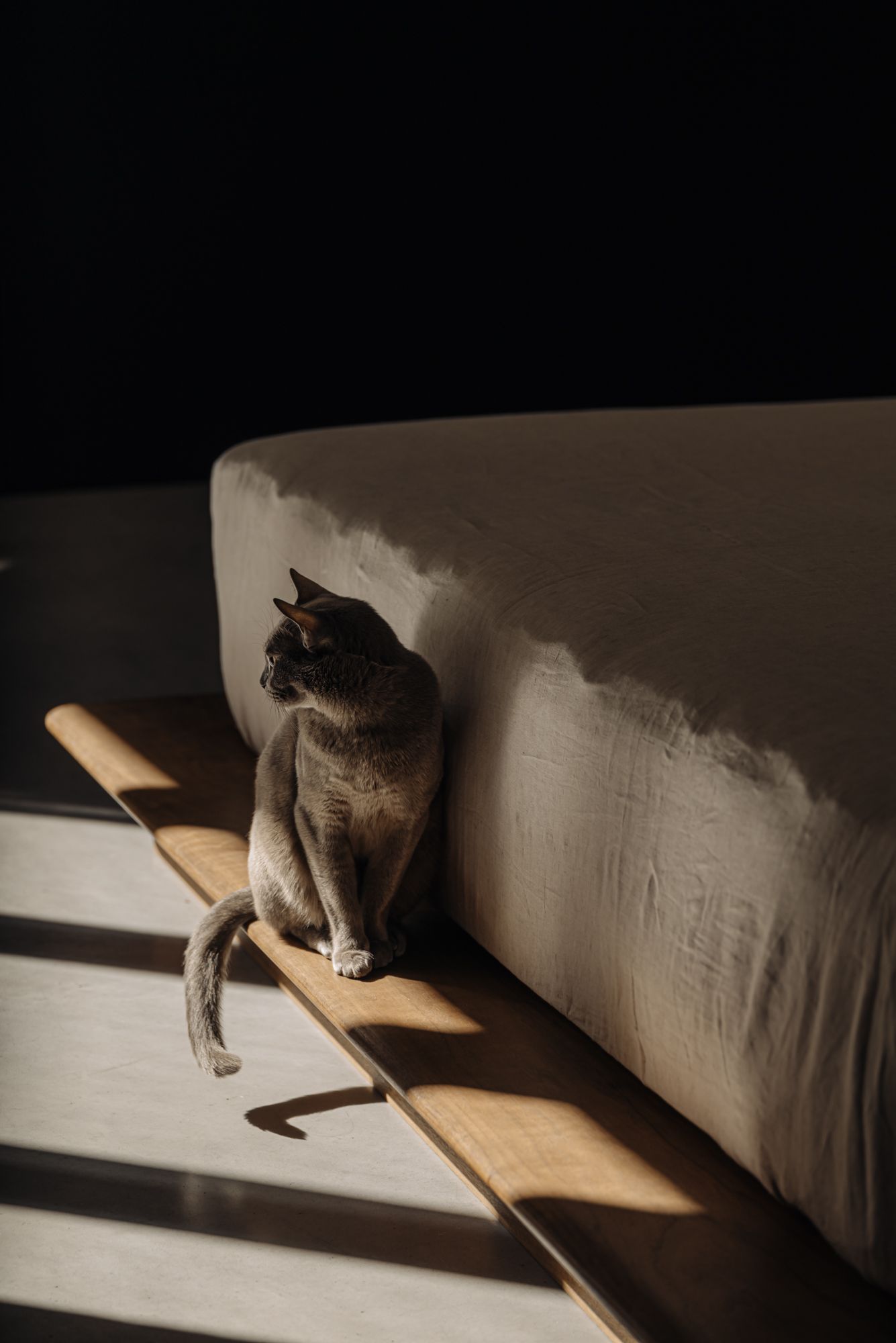 Foto 21 van Kerkstraat 58