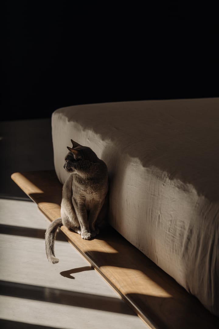 Photo 21 of Kerkstraat 58