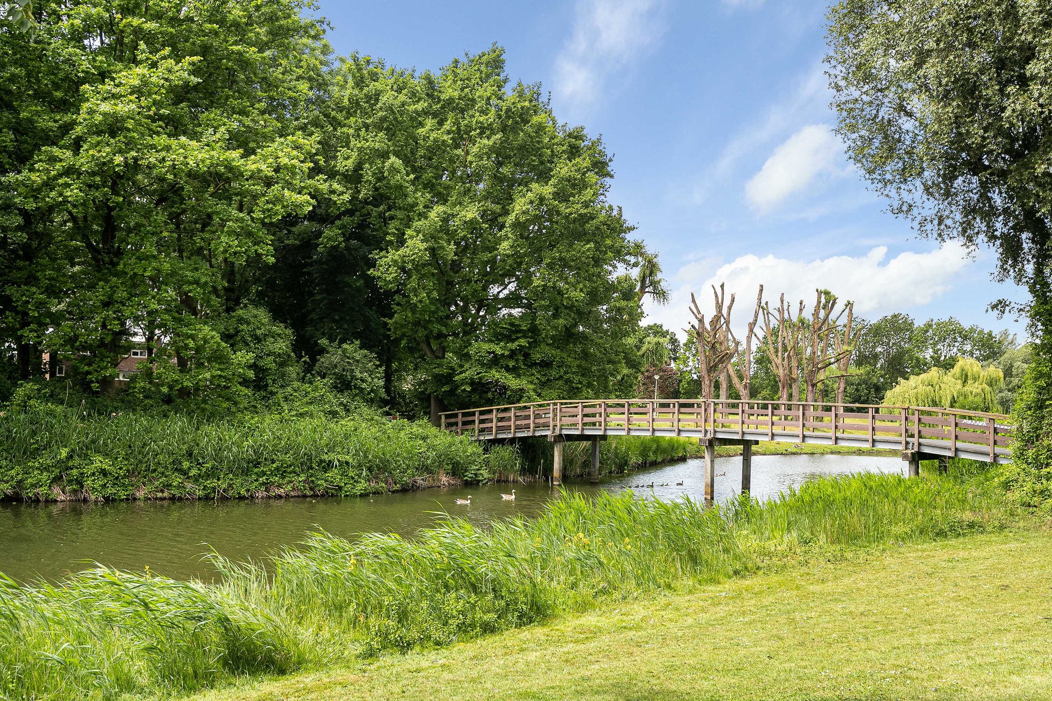 Photo 27 of Muurdijk 22