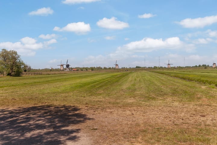 Foto 29 van Reigerstraat 16