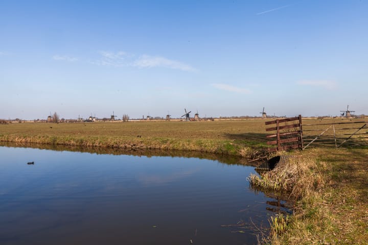 Foto 30 van Reigerstraat 16