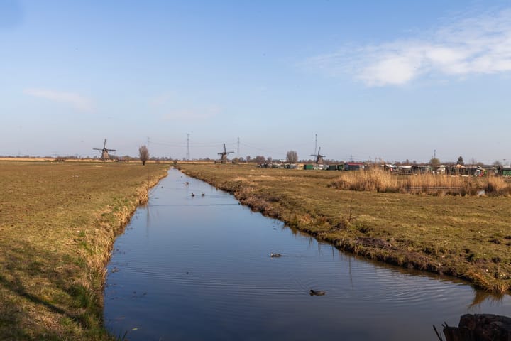 Foto 31 van Reigerstraat 16