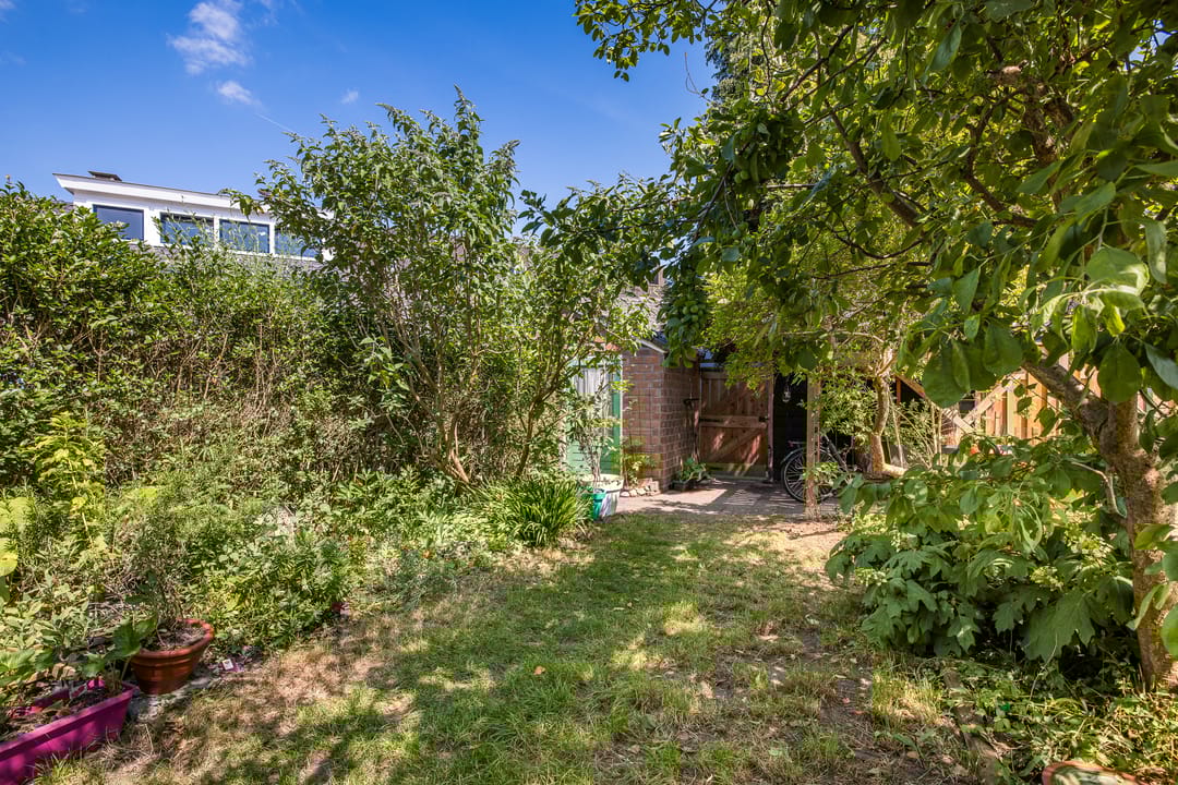 Foto 38 van Tuinbouwstraat 23