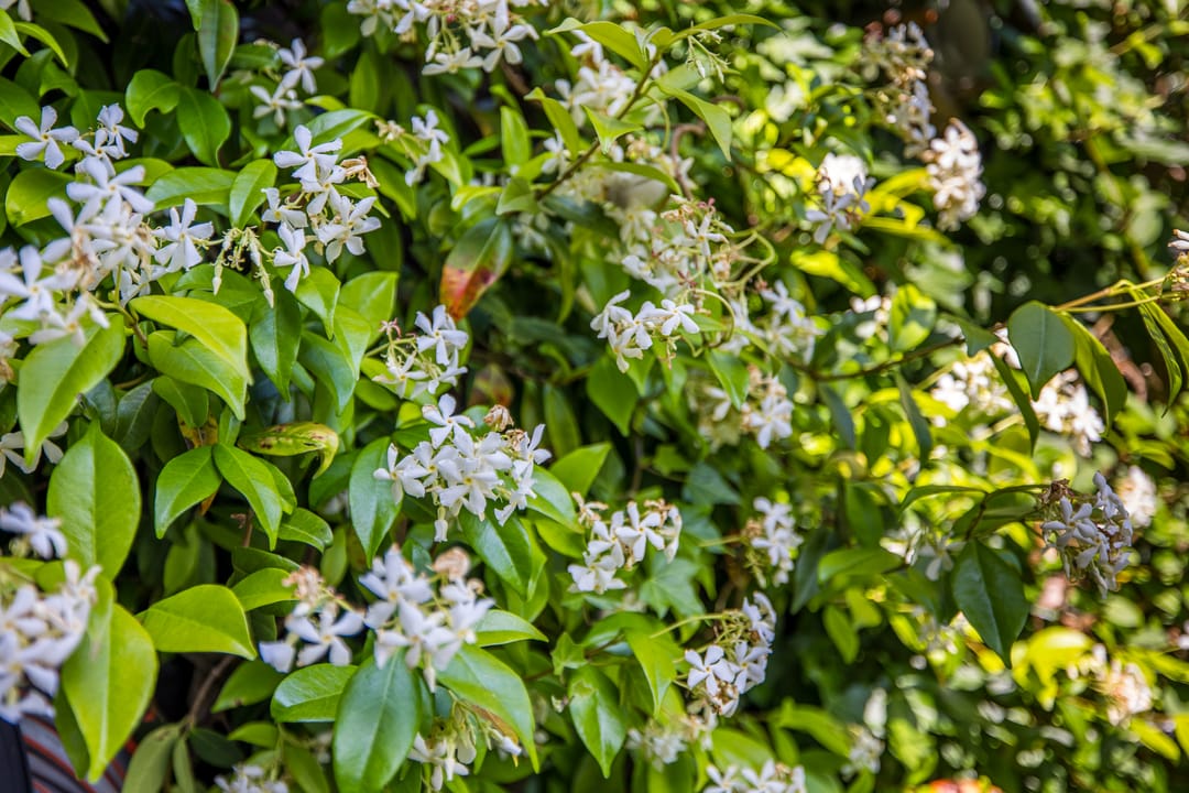 Foto 43 van Tuinbouwstraat 23