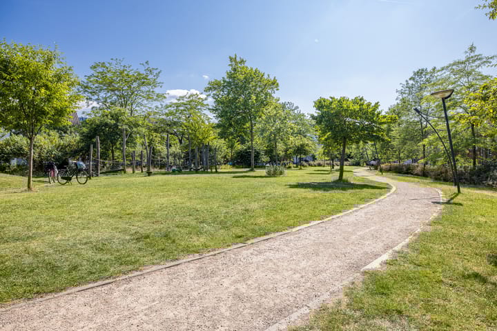 Foto 50 van Tuinbouwstraat 23