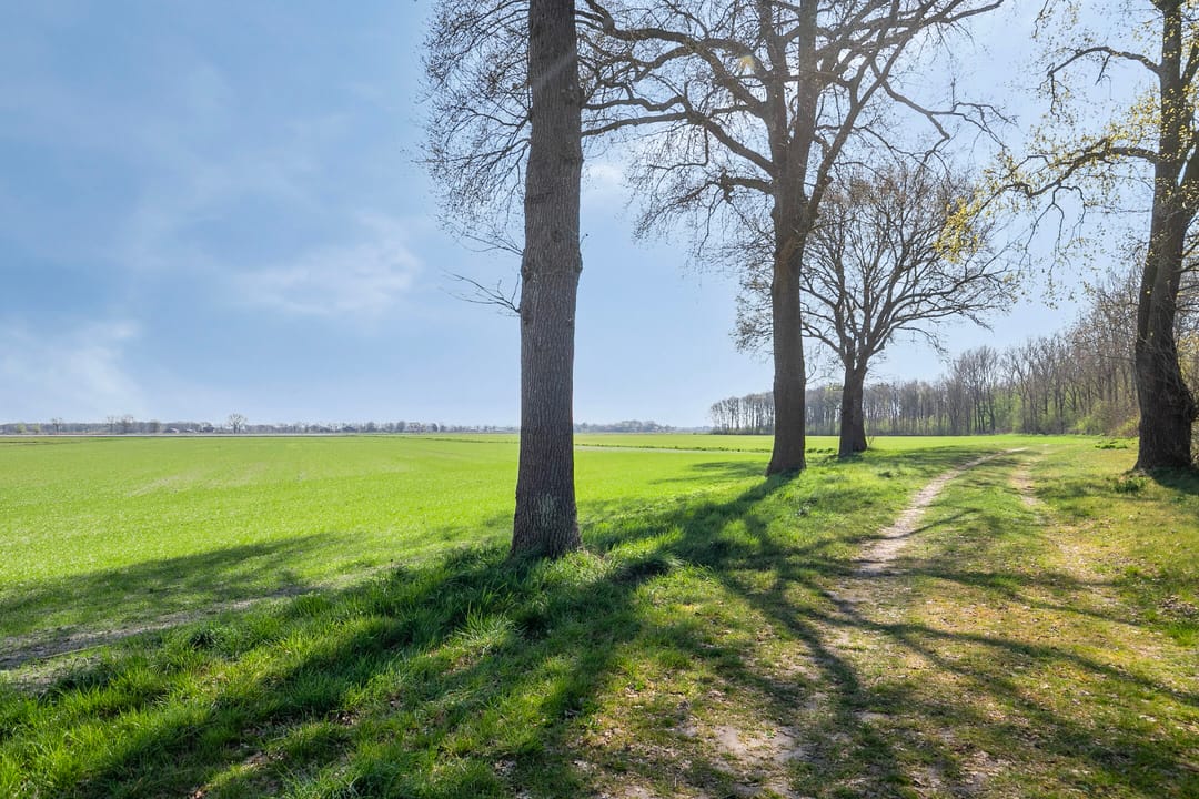 Foto 28 van Anna Blamanstraat 29