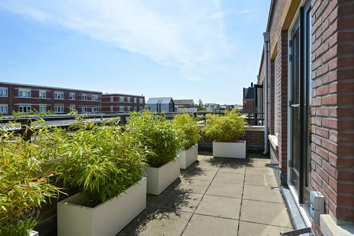 Foto 35 van Thomas Mannsingel 44