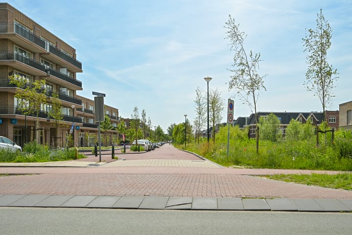 Foto 51 van Thomas Mannsingel 44