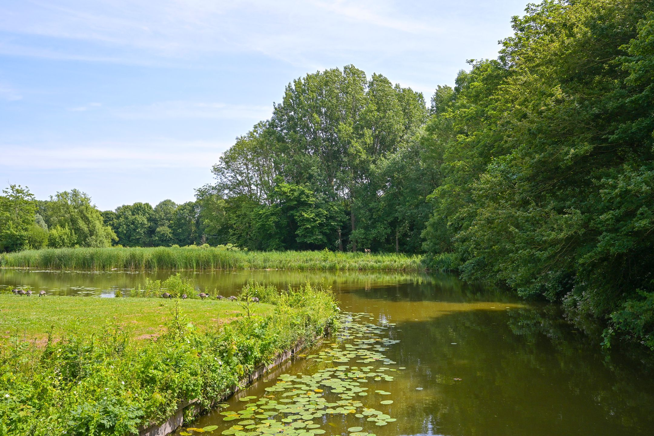 Foto 54 van Thomas Mannsingel 44