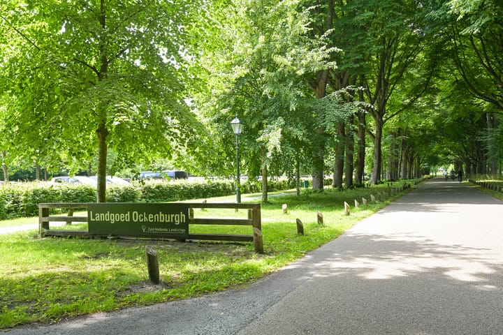 Foto 55 van Thomas Mannsingel 44