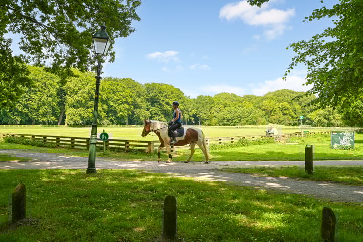 Foto 57 van Thomas Mannsingel 44