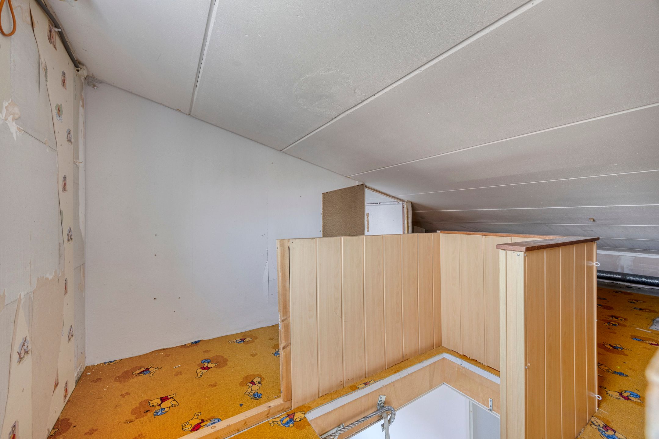 Foto 18 van Pijlstaart 14