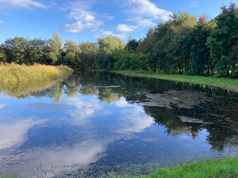 Vanenburgerallee secondary image