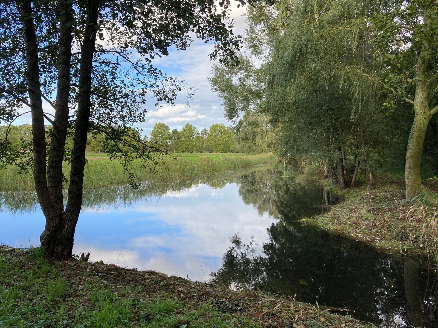 Foto 5 van Vanenburgerallee