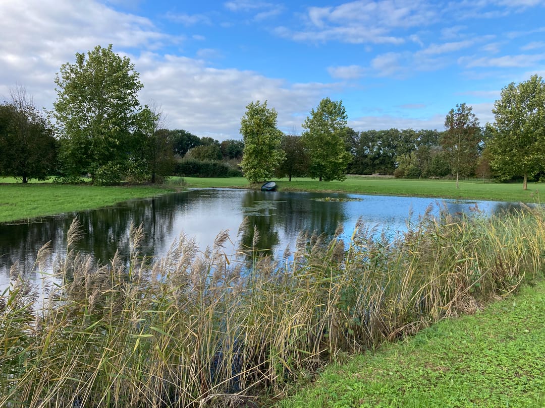 Foto 7 van Vanenburgerallee