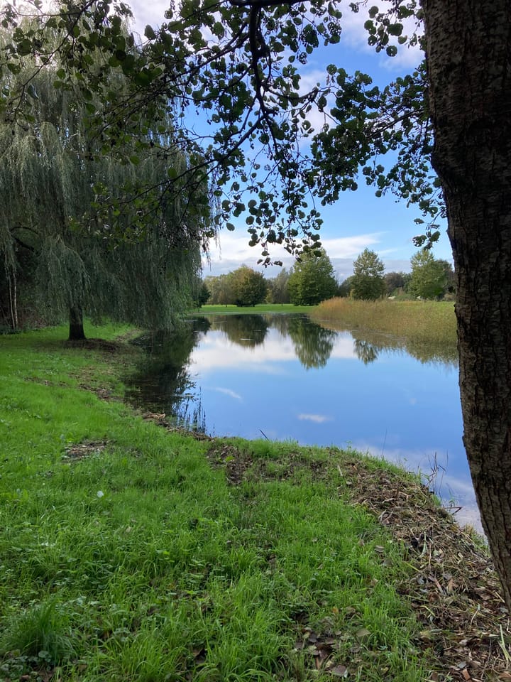 Photo 8 of Vanenburgerallee