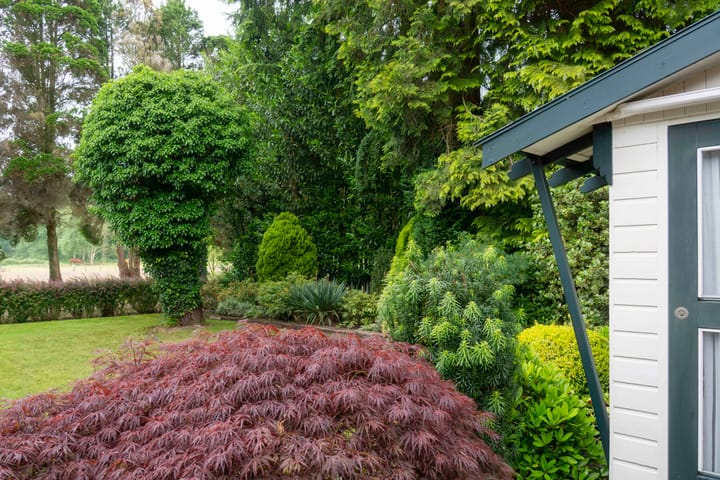 Foto 5 van Vijfpotenweg 5-I