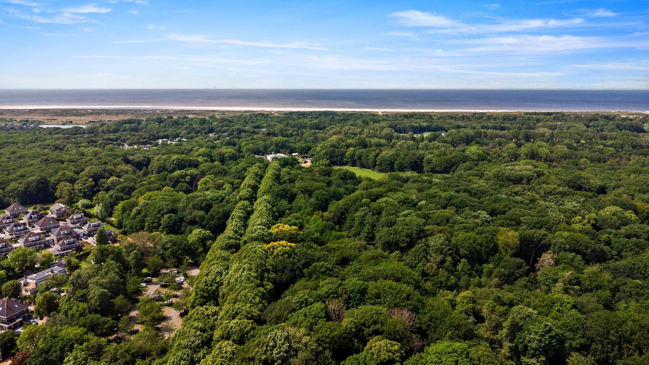 Foto 81 van Monsterseweg 1