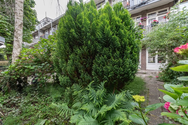 Photo 15 of Woestduinstraat 99-H