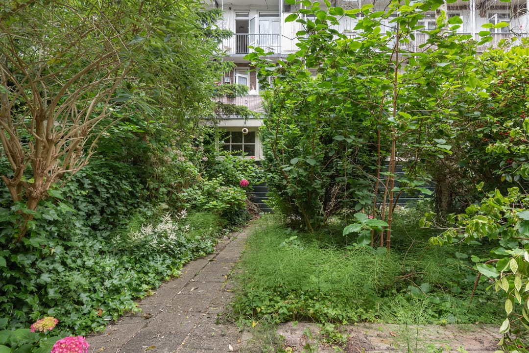 Foto 17 van Woestduinstraat 99-H