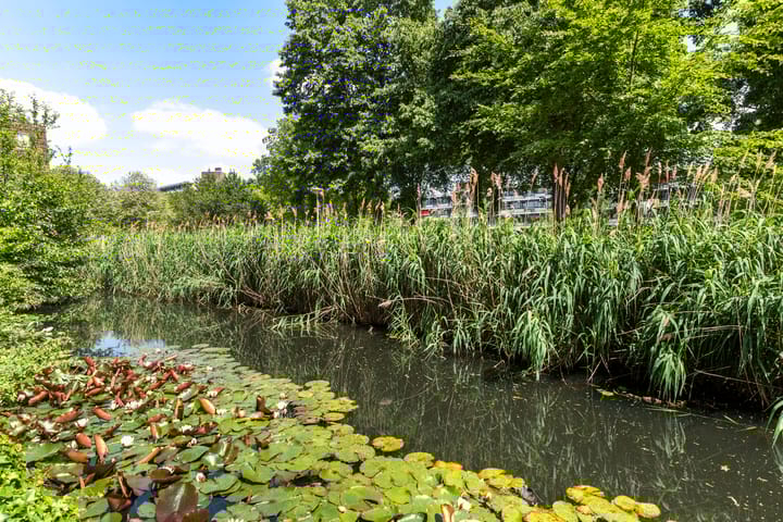 Foto 4 van Heuvellaan 114