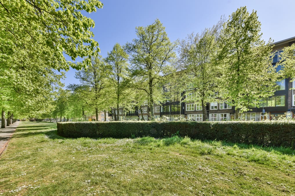 Foto 53 van Apollolaan 79