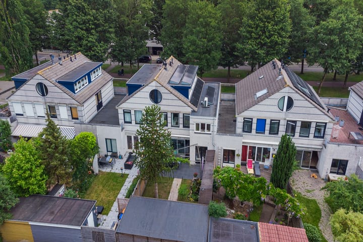 Foto 39 van Dalkruid 32